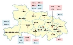 2019年湖北省次高端白酒市场竞争情况分析
