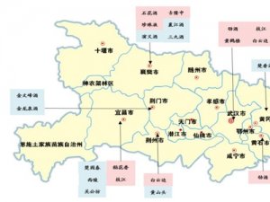 2019年湖北省次高端白酒市场竞争情况分析