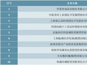 2020年中国产业新城运营商综合实力排行榜（TOP10）