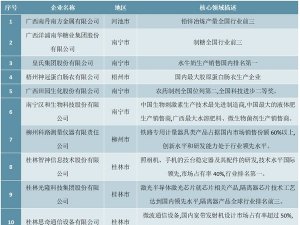 2020年广西最具竞争力的民营企业排行榜（TOP15）