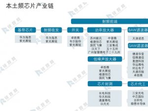 2020本土频芯片产业链及行业发展机遇分析，中国本土频芯片行业
