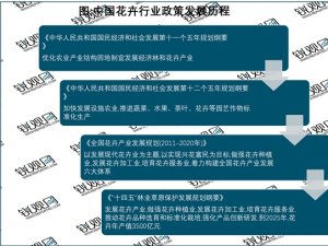 2023花卉行业国家相关政策及重点政策解读