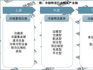 2023冷链物流市场发展趋势分析：国家陆续发布鼓励政策市场加速