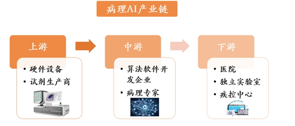 AI行业辅助病理诊断，市场前景发展巨大