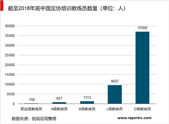 2020-2025年中国足球产业调研分析及投资前景预测报告