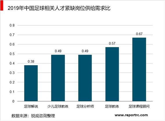 2020-2025年中国足球产业调研分析及投资前景预测报告