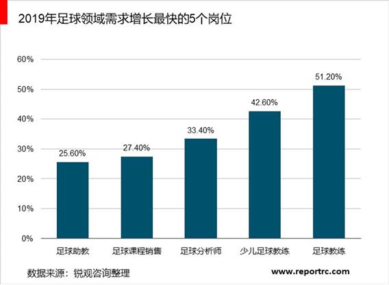 2020-2025年中国足球产业调研分析及投资前景预测报告