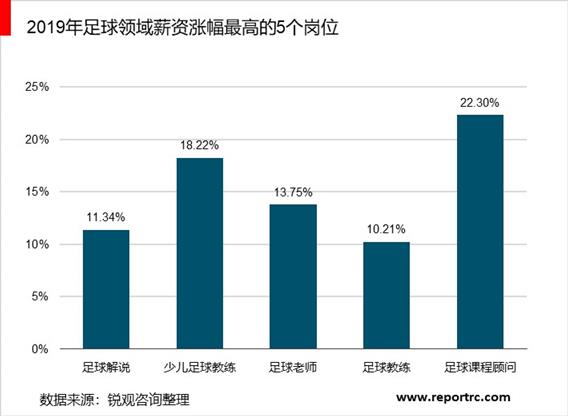 2020-2025年中国足球产业调研分析及投资前景预测报告