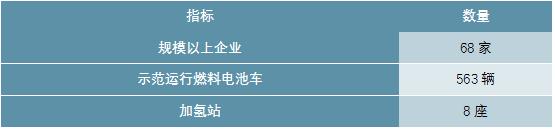 2020-2025年中国氢能行业前景预测及投资战略分析报告报告