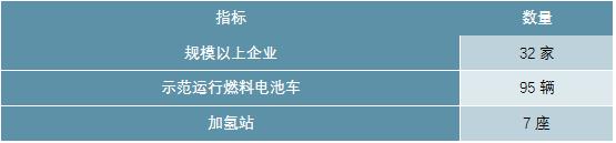 2020-2025年中国氢能行业前景预测及投资战略分析报告报告