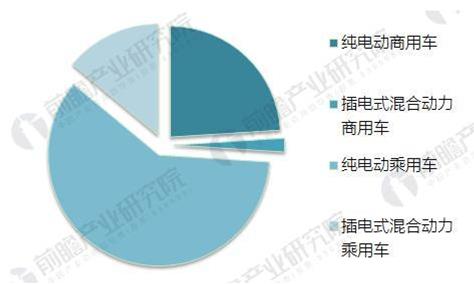 2020-2025年中国电动汽车充换电站市场供需分析及投资前景预测报告