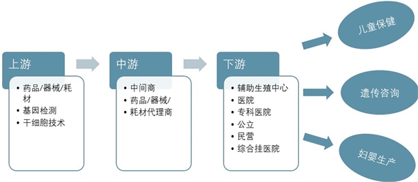 辅助生殖行业产业链分析-辅生药物领域以及辅生医疗服务分配价值较高