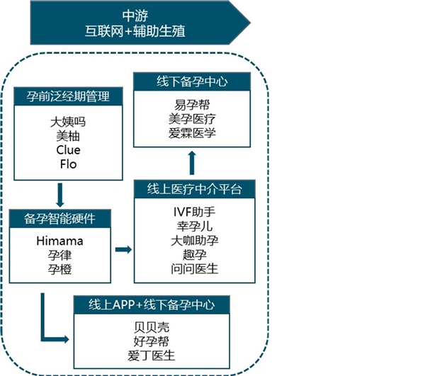 辅助生殖行业产业链分析-辅生药物领域以及辅生医疗服务分配价值较高