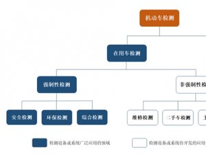 强制检测频次有望增加，尾气遥感设备与检测站运营有望成为未来增长新引擎