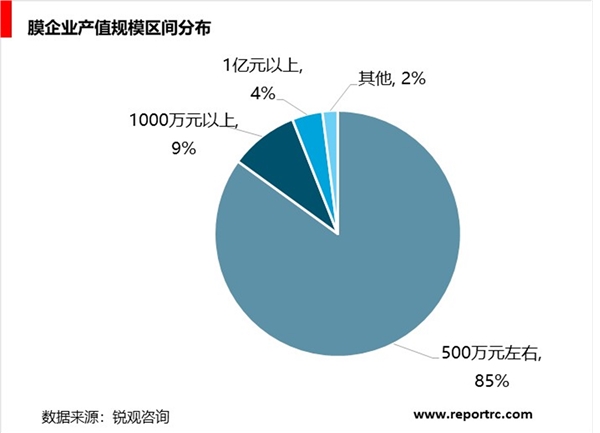 膜产业细分产品发展分析，膜产业进入快速成长期