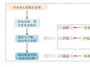 2019年中国市场次高端白酒投资分析与风险提示