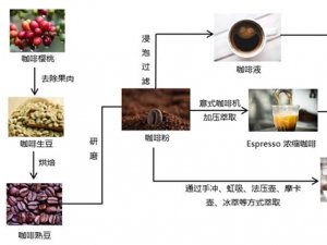 2019咖啡行业市场情况分析：消费的不断升级，咖啡消费量迅猛增长