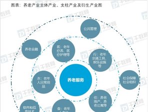 2019智慧养老行业市场发展趋势分析：人口老龄化高峰，未来养老广阔的市场空