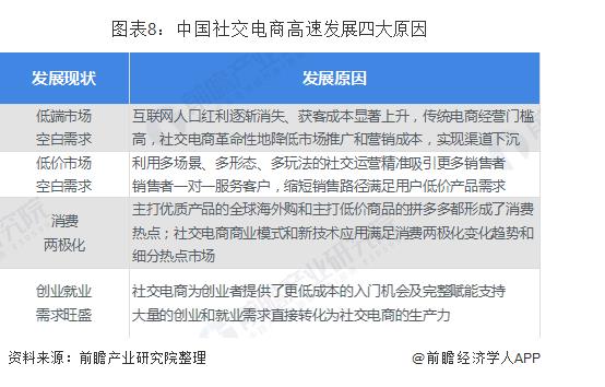 2020-2025年中国社交电商行业深度调研及投资前景预测报告