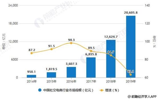 2020-2025年中国社交电商行业深度调研及投资前景预测报告