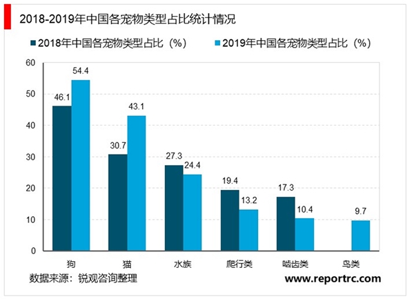 宠物行业市场养宠人情况及市场发展规模预测分析