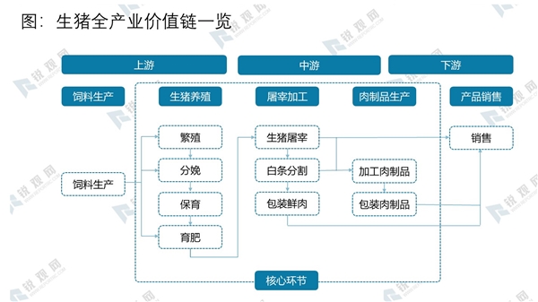 2020生猪全产业价值链及行业未来发展趋势分析