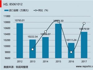 中国 圆柱型碱性锌锰原电池（组）(HS85061012 )进出口数据统计