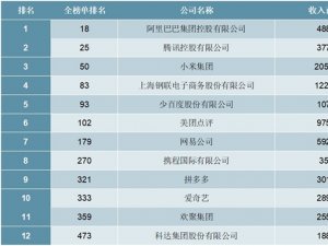 2020年《财富》中国500强互联网服务行业企业排行榜
