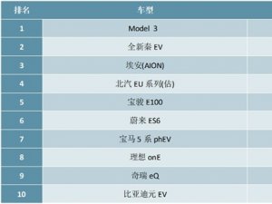 2020年1-5月新能源乘用车销量排行榜