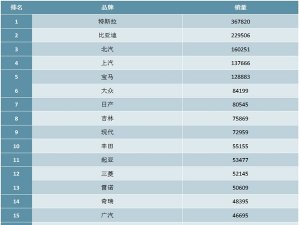 2019年全球电动车品牌销量排行榜（TOP20）