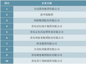 2020年青岛民营企业服务业10强排行榜