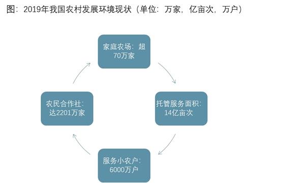 2021-2025年现代农业背景下中国家庭农场深度调研及投资前景预测报告