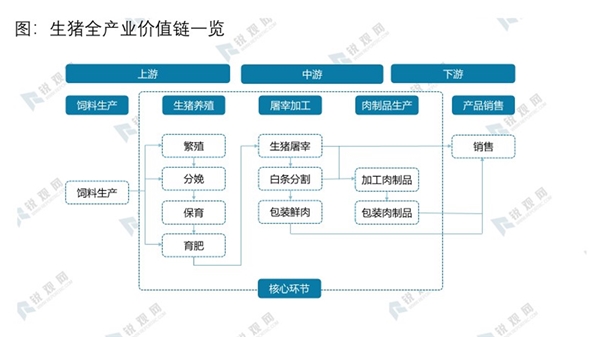 生猪全产业价值链一览