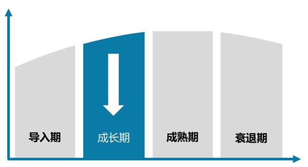 中国丁醇行业发展预测及投资策略报告