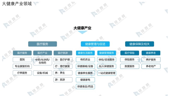 大健康产业领域