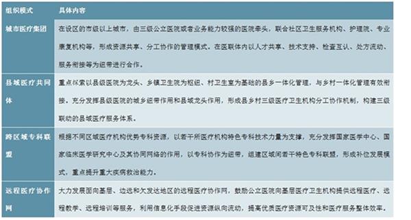 2021-2025年中国医联体（医疗联合体）建设深度调研及投资前景预测报告