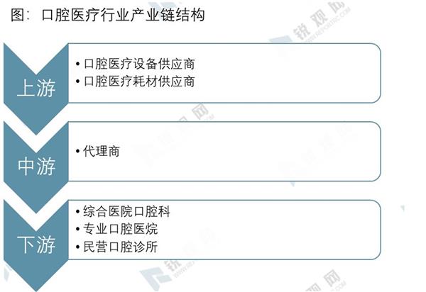 2021-2025年中国口腔医疗行业深度调研及投资前景预测报告