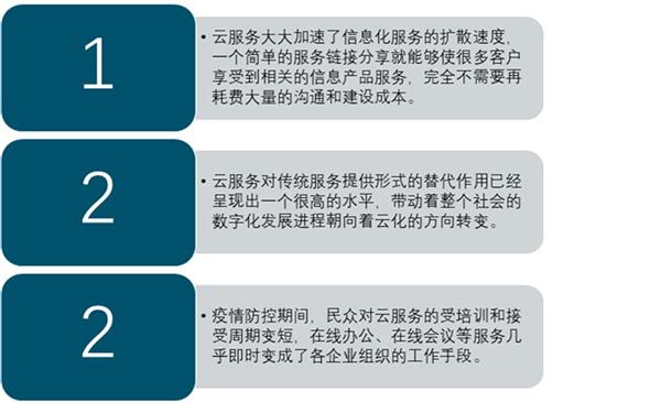 2021-2025年中国云服务市场深度调研及投资前景预测报告