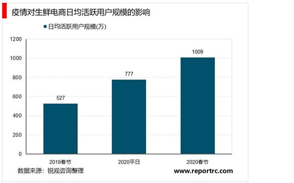 2021-2025年中国生鲜电商行业深度调研及投资前景预测报告