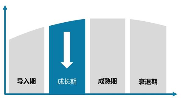 中国钾肥（折氯化钾100%）行业发展预测及投资策略报告