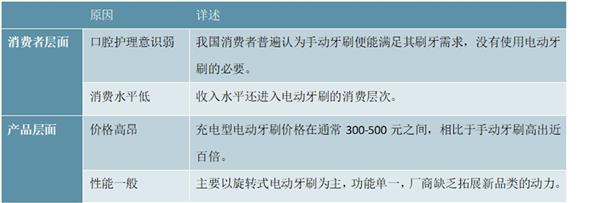 2021-2025年中国电动牙刷行业深度调研及投资前景预测报告