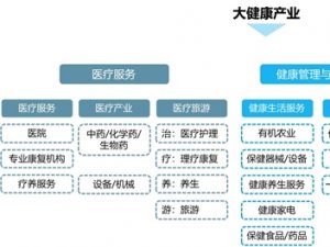 一图看懂大健康产业领域分布