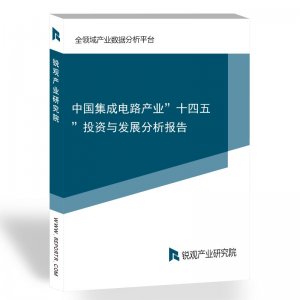 中国集成电路产业”十四五”投资与发展分析报告