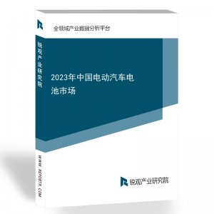 2023年中国电动汽车电池市场