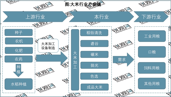 2023大米行业市场现状分析：头部品牌正在加快品牌运作未来市场集中度有望提高