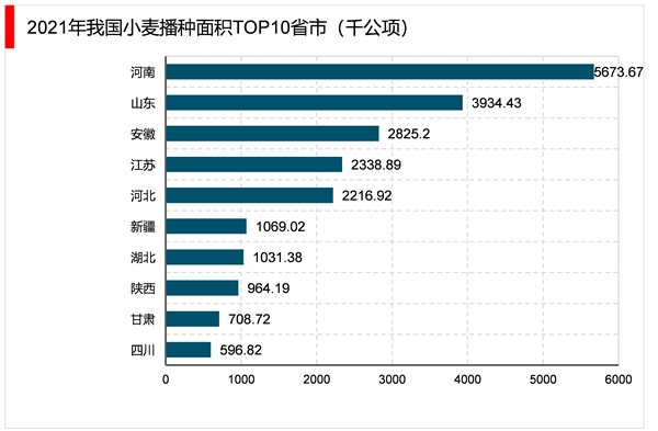 2023小麦行业市场发展趋势分析：政策利好推动行业加速发展