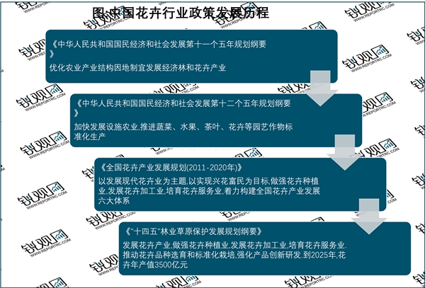 2023花卉行业国家相关政策及重点政策解读