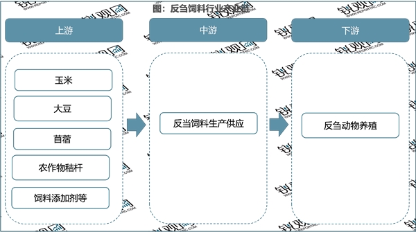 2023反刍动物饲料行业市场发展趋势分析：养殖规模不断扩大需求逐渐增加市场加速发展