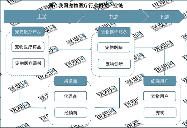 2023宠物医疗行业市场发展趋势分析：随着宠物饲养热度攀升人群规模不断扩大市场前期可期