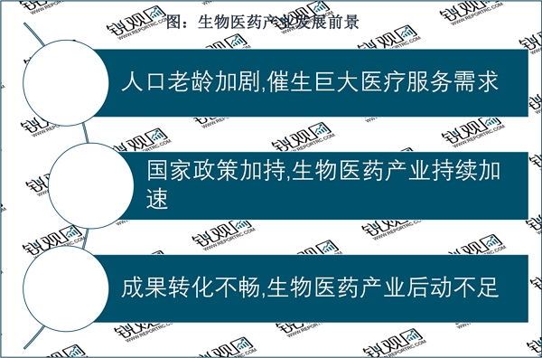 2023生物医药行业市场发展趋势分析：随着政府高度重视企业加大投入市场前景可期